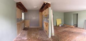 Mulberry before